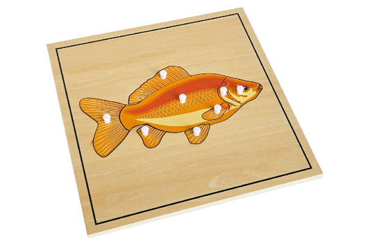 Fish Puzzle with Skeleton