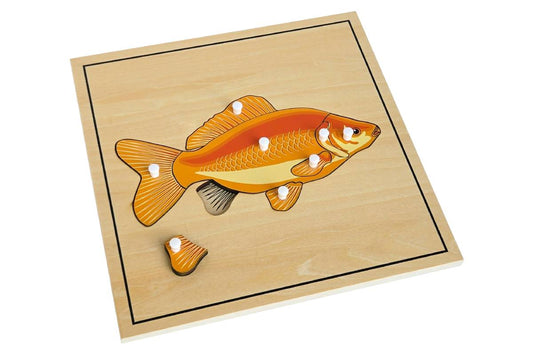 Wooden puzzle with pieces representing the parts of a fish. The anal fin is removed to reveal the skeleton beneath.