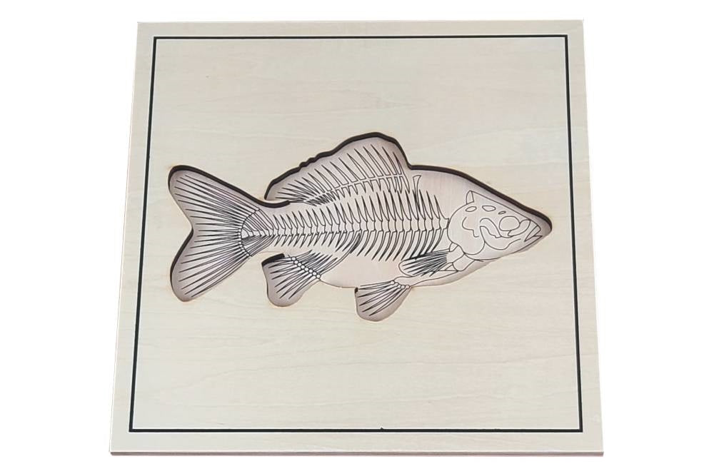 IFIT Montessori: Fish Puzzle with Skeleton