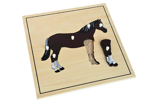 Wooden puzzle with pieces representing the parts of a horse. The forelegs are removed to reveal the skeleton beneath.