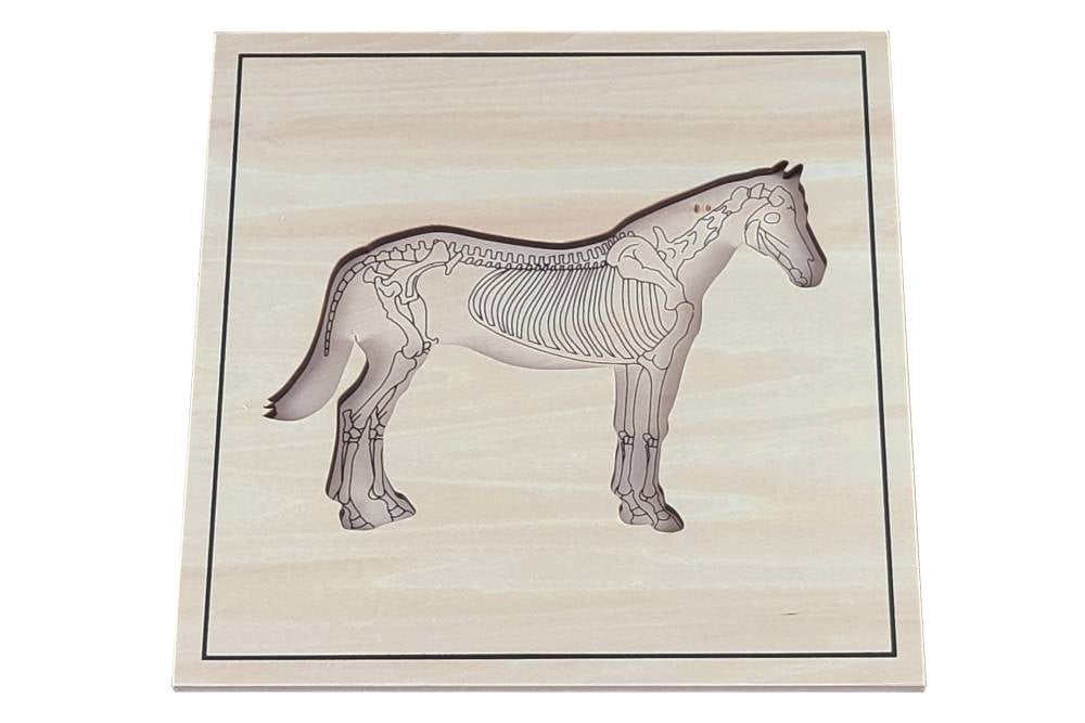 IFIT Montessori: Horse Puzzle with Skeleton