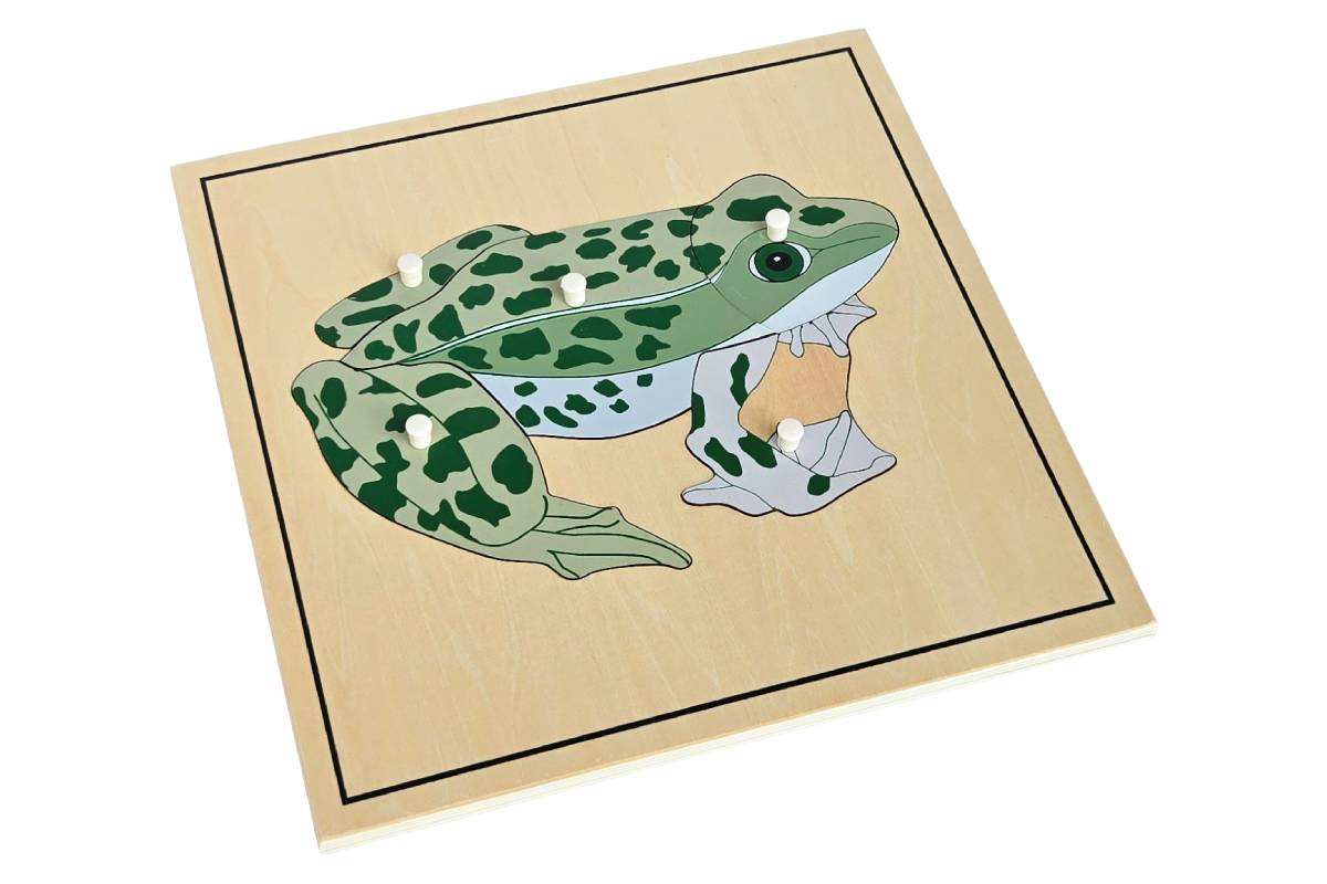 Frog Puzzle with Skeleton