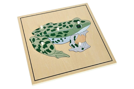 Frog Puzzle with Skeleton