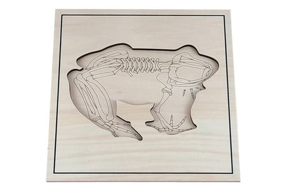 Puzzle base depicting frog skeleton.