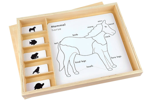 Animal puzzle activity set in a wooden box with six compartments. One large compartments holds the labeled and unlabeled control charts, while five small compartments to the side hold the labels. A horse chart with labeled parts is on top.