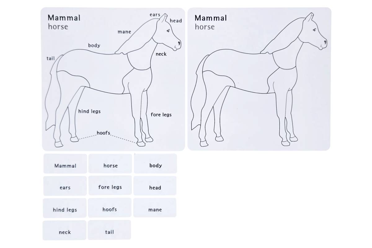 Animal Puzzle Activity Set
