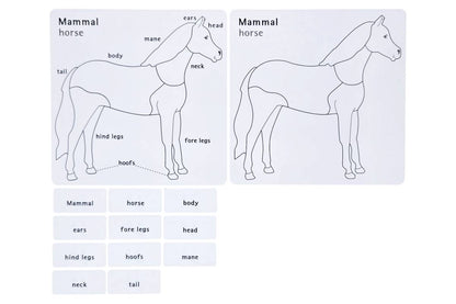 Animal Puzzle Activity Set