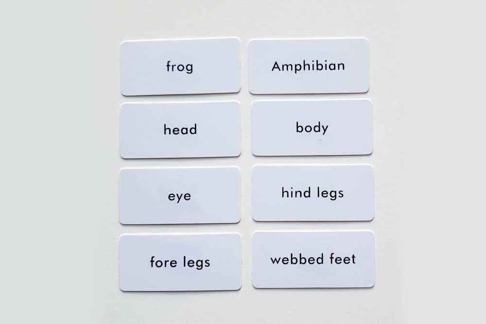 IFIT Montessori: Frog Label Cards for Animal Puzzle Activity Set