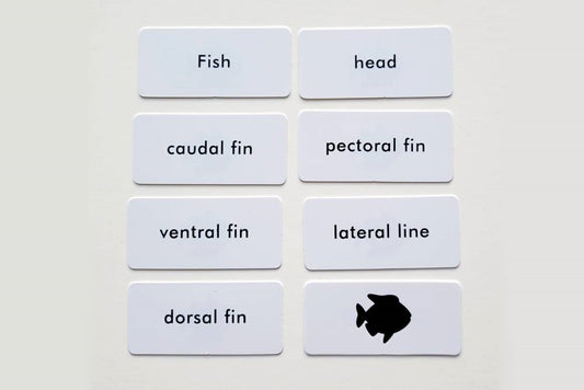 IFIT Montessori: Fish Label Cards for Animal Puzzle Activity Set