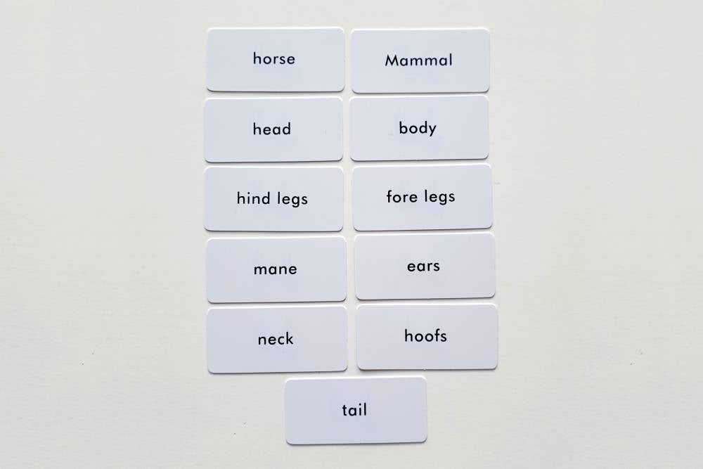 IFIT Montessori: Horse Label Cards for Animal Puzzle Activity Set