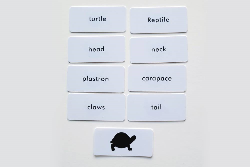 Turtle Label Cards for Animal Puzzle Activity Set - IFIT Montessori
