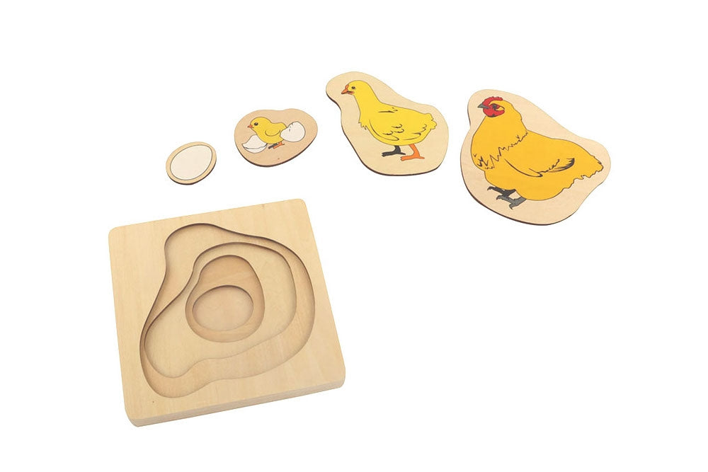 Chicken life cycle puzzle with four stacking layers. The life cycle starts at the smallest, deepest layer and concludes at the topmost layer which depicts a fully grown hen.