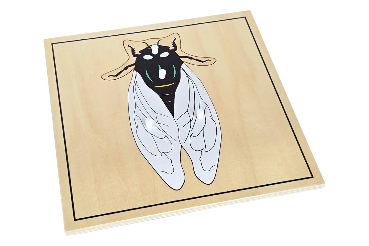 Fly Puzzle