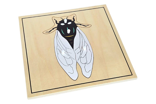 Fly Puzzle