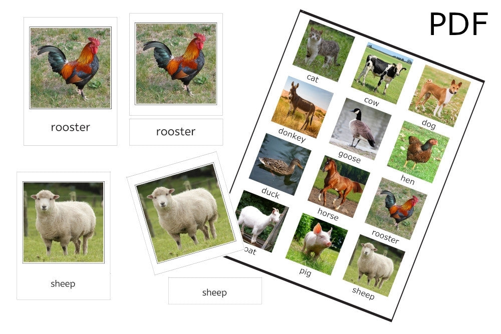 Farm Animals 3-Part Cards (PDF)