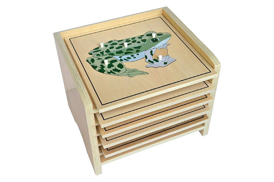 5 Animal (with Skeleton) Puzzles with Cabinet