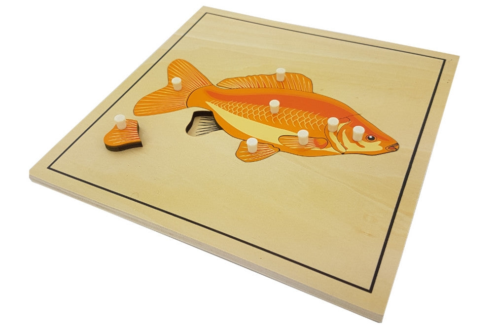 IFIT Montessori: 5 Animal (with Skeleton) Puzzles with Cabinet