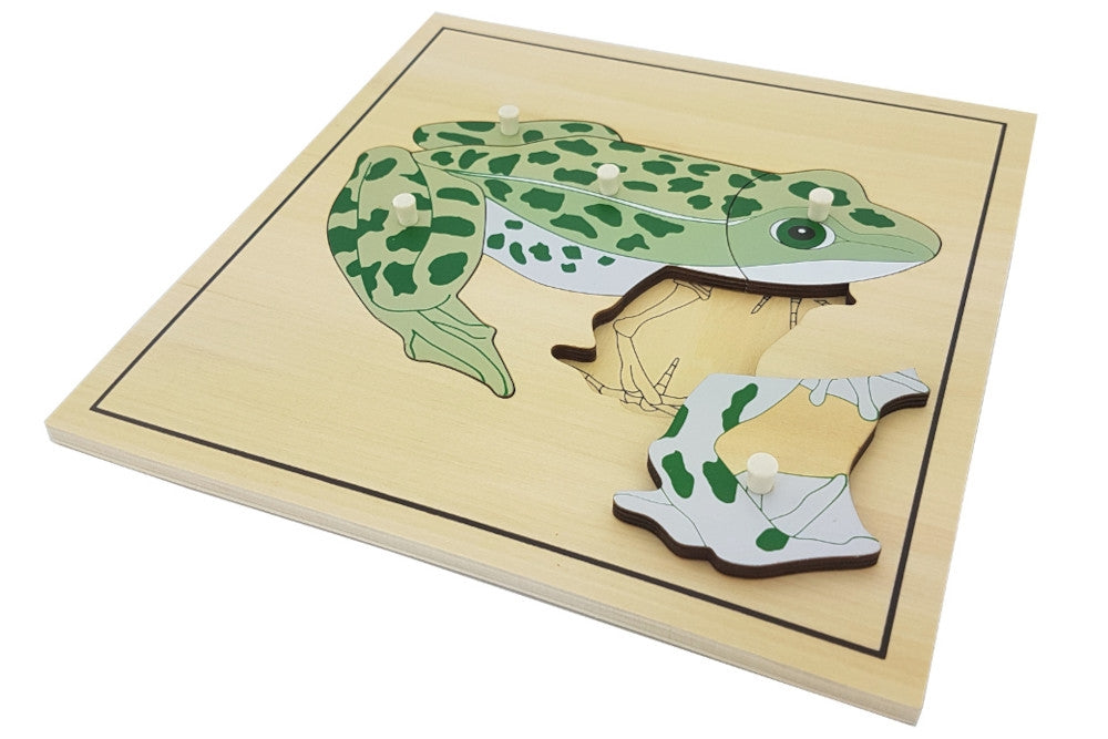 IFIT Montessori: 5 Animal (with Skeleton) Puzzles with Cabinet