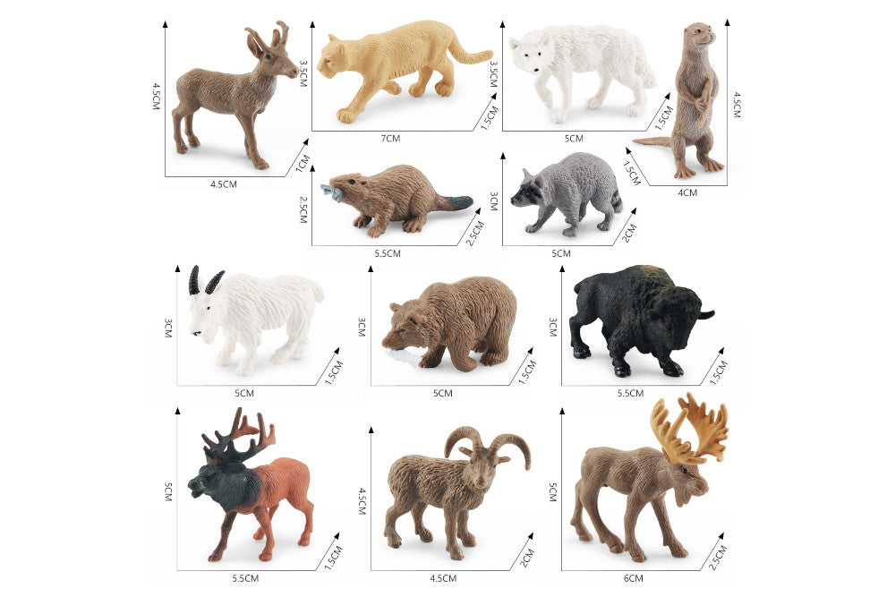 12 Animals of North America Models with 2-Compartment Tray and PDF Cards