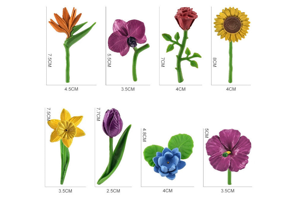 8 Flower Models