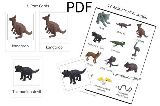 12 Animals of Australia 3-Part Cards (PDF)