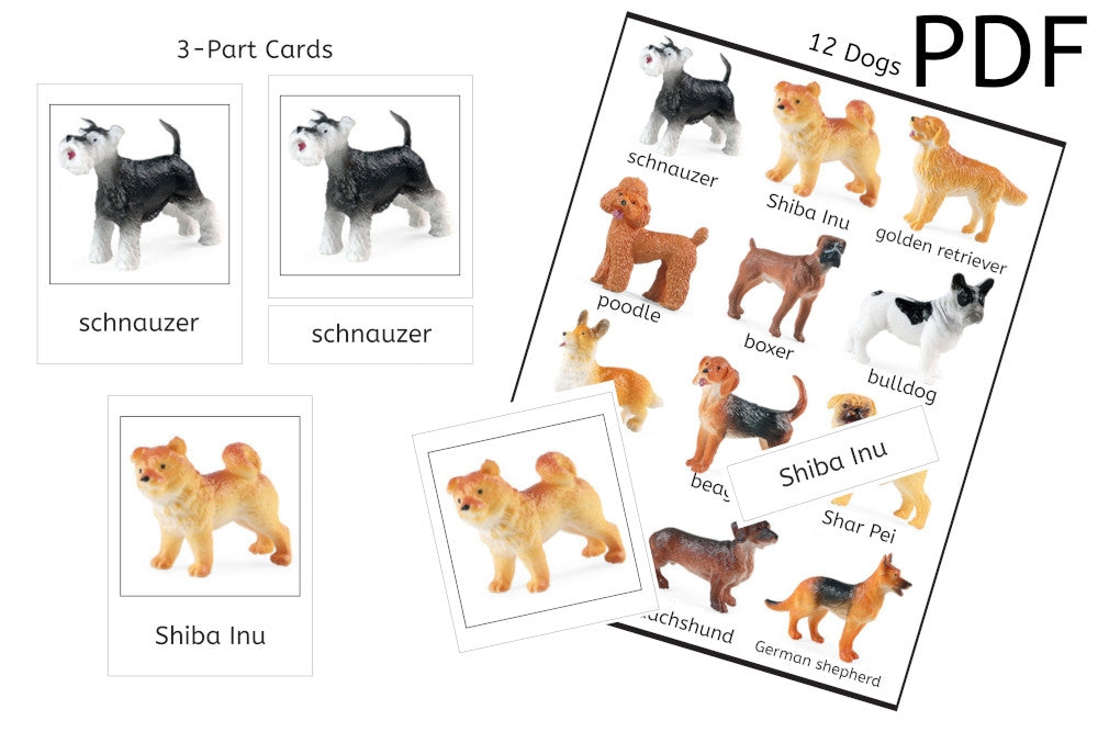 12 Dogs 3-Part Cards (PDF)