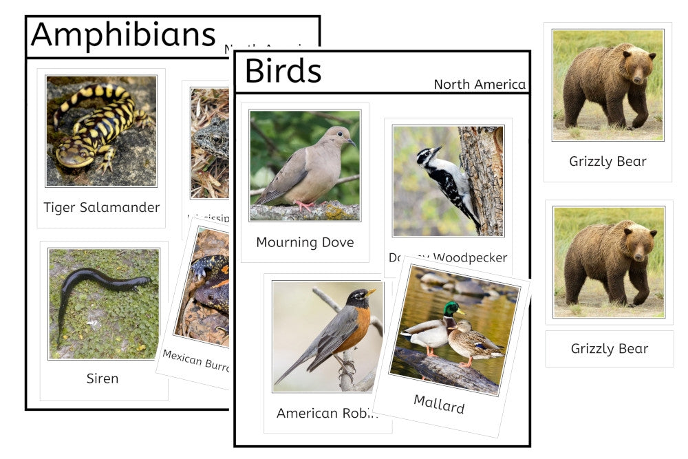 Vertebrates of North America (PDF)