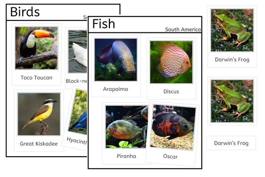 Vertebrates of South America (PDF)