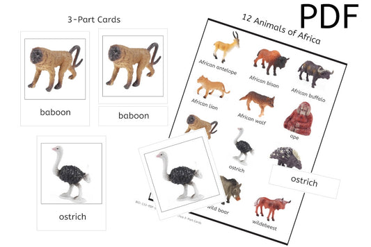 12 Animals of Africa 3-Part Cards (PDF)