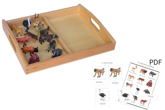 12 Animals of Africa Models with 2-Compartment Tray and PDF Cards