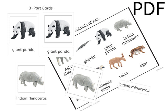 8 Animals of Asia 3-Part Cards (PDF)