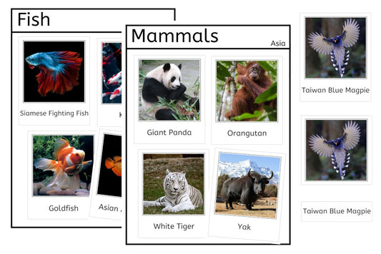 Vertebrates of Asia (PDF)