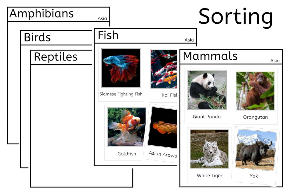 Vertebrates of Asia (PDF)