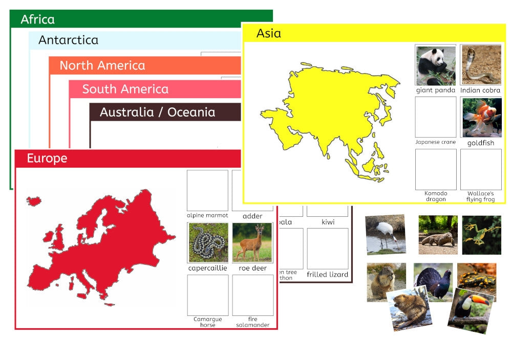 Animals of the 7 Continents (PDF)