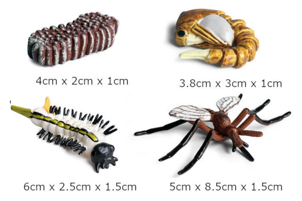 Life Cycle of a Mosquito with Demo Tray