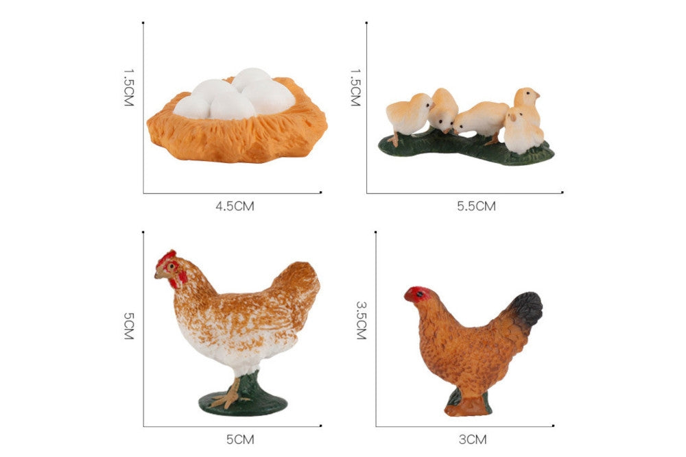 Models of Hen Life Cycle with Demo Tray and PDF Cards