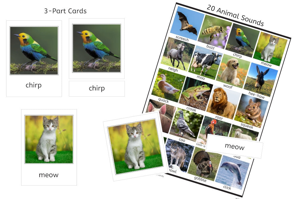 Animal Sounds 3-Part Cards (PDF)