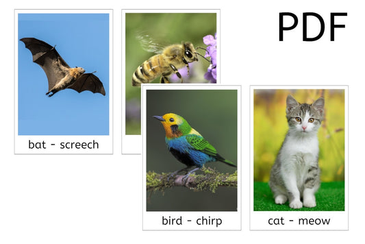 Animal Sound Flashcards - Large (PDF)