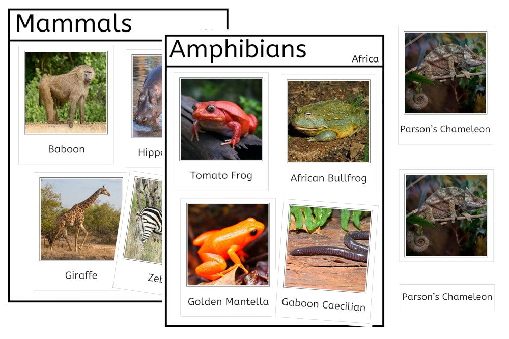 Vertebrates of Africa (PDF)