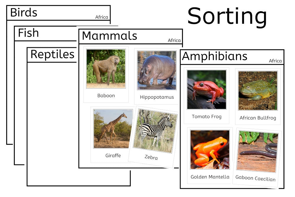 Vertebrates of Africa (PDF)