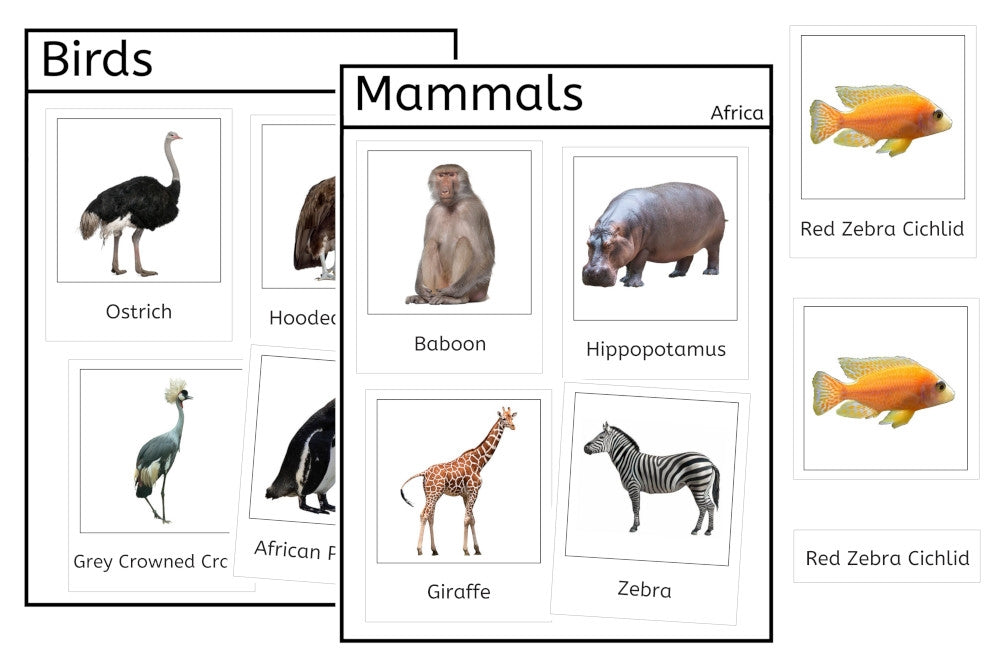 Vertebrates of Africa (PDF)