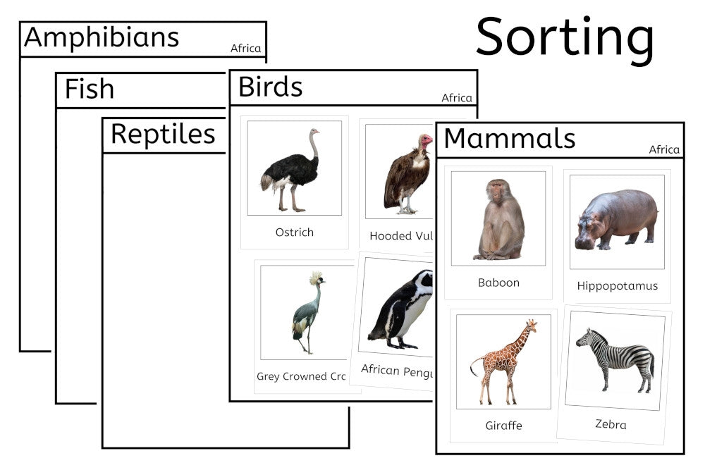 Vertebrates of Africa (PDF)