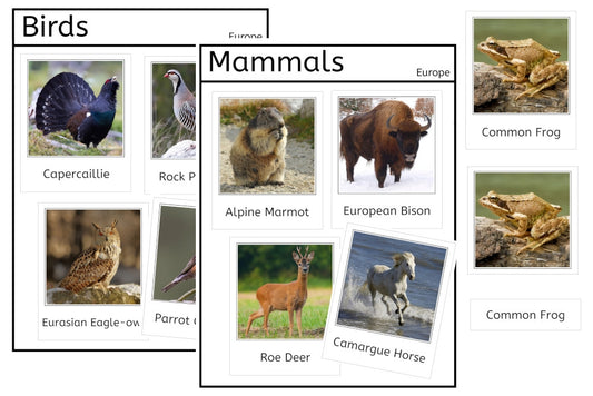 Vertebrates of Europe (PDF)