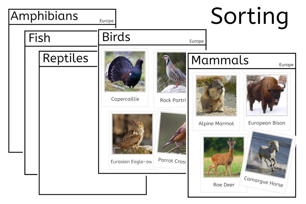 Vertebrates of Europe (PDF)