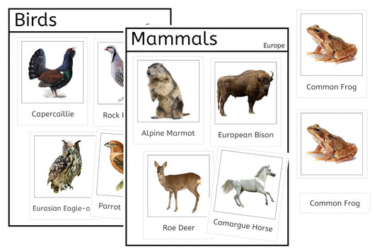 Vertebrates of Europe (PDF)