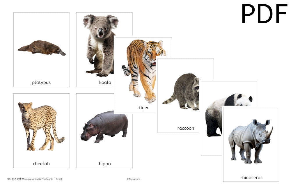 Mammals Flashcards - Small (PDF)