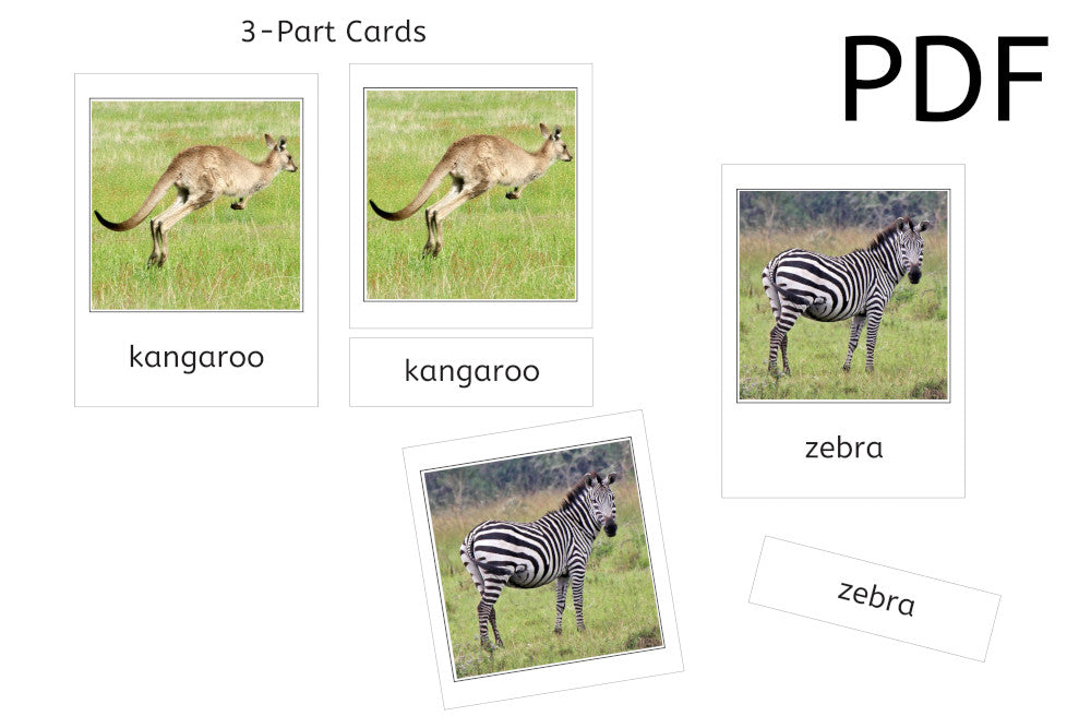 Grassland Animals 3-Part Cards (PDF)