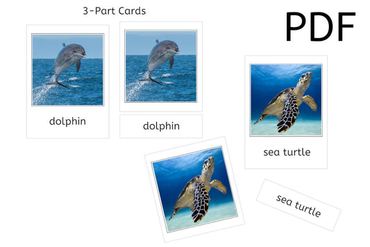 Ocean Animals 3-Part Cards (PDF)