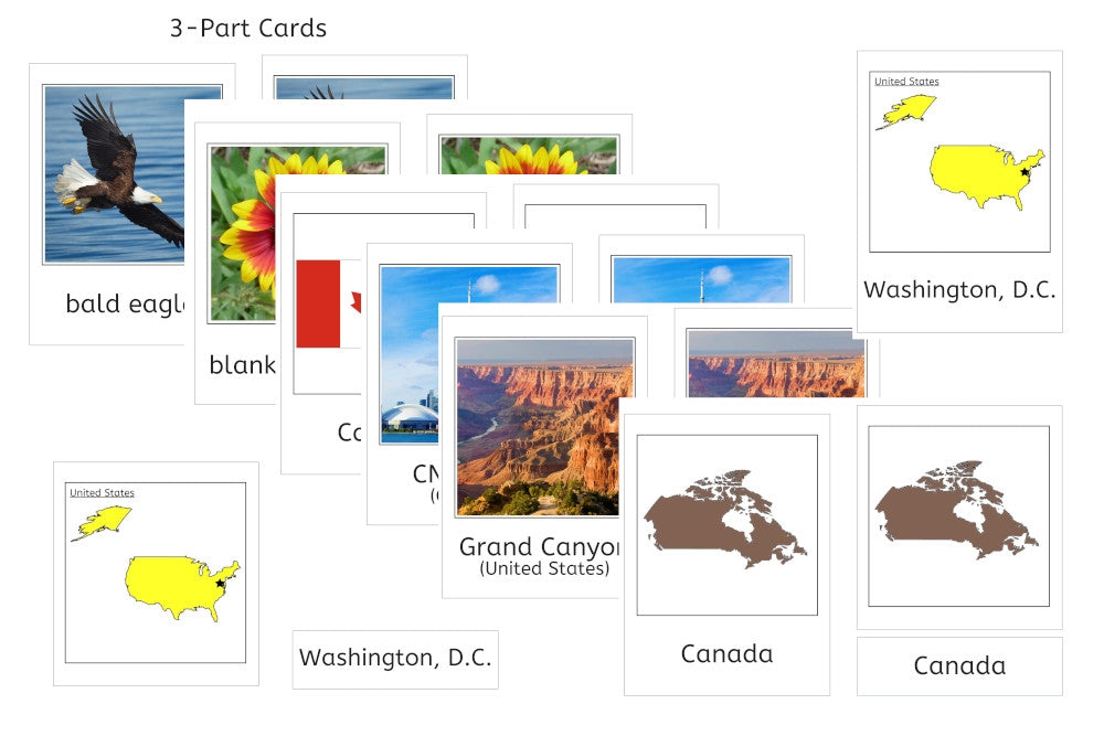 South America 3-Part Cards Bundle (PDF)