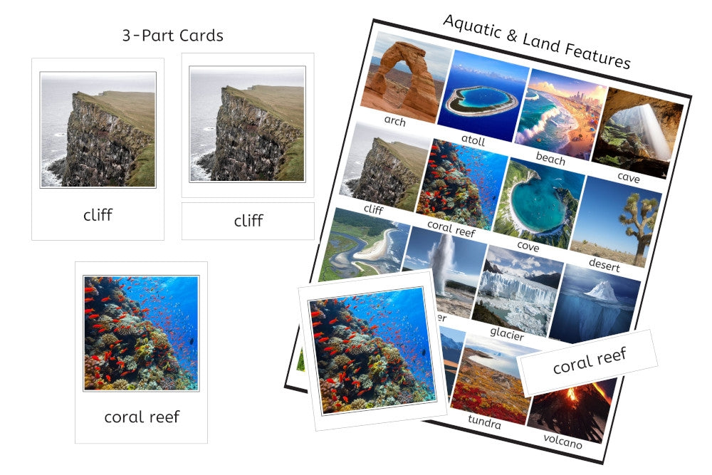 Aquatic & Land Feature 3-Part Cards (PDF)